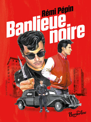 cover image of Banlieue noire